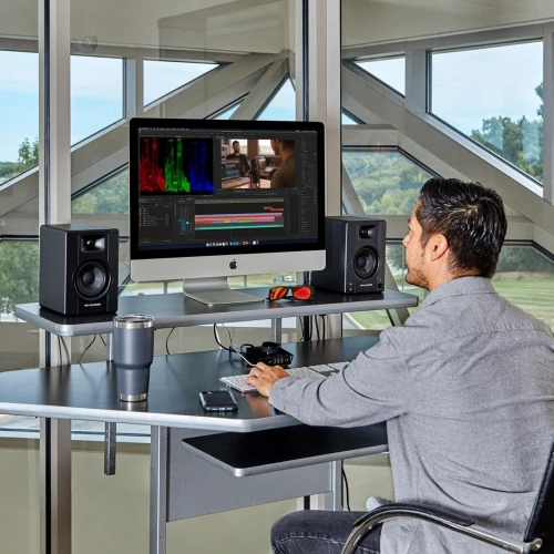 M-AUDIO BX4 Monitör Sistemi (ÇİFT) 4