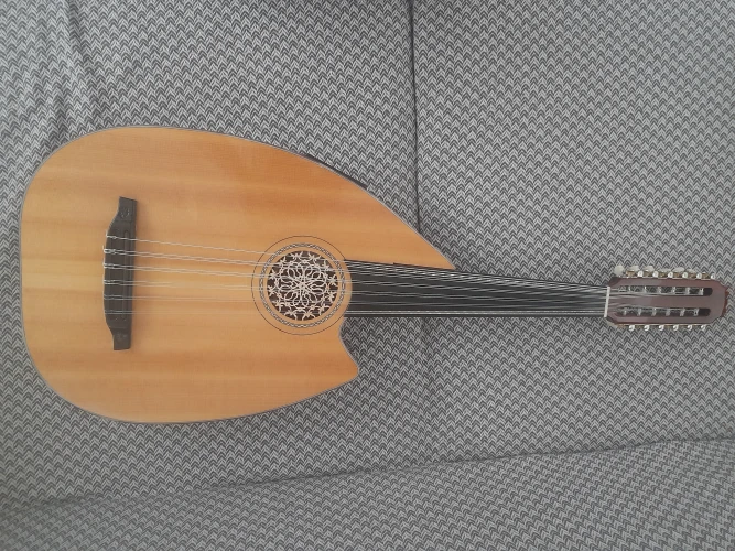 sadettin sandı elektro akustik ud 5
