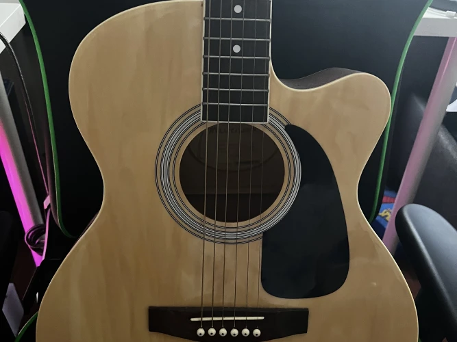 Masterwork elektro akustik gitar 1