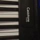 CASIO CT-S100 org ( Sehpa Dahil ) 3