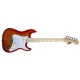 DMX Stratocaster ST-CS Elektro Gitar (Taşıma Çantası Hediyeli) 2