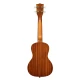Kala Elvis Rockabilly Concert Ukulele Eğitim Seti 4