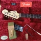 Fender Stratocaster American Performer 8