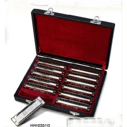 Valencia Hm1020-12 Mizika Set 12li 3