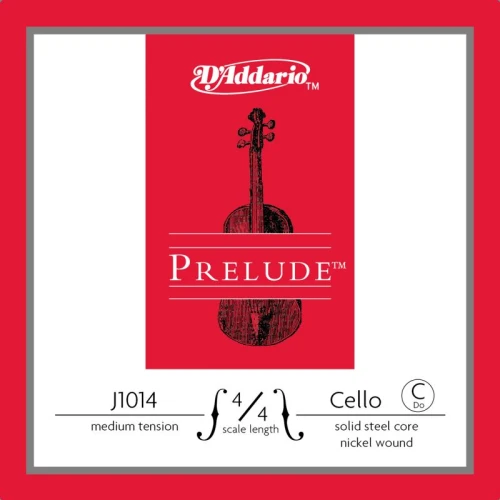 DADDARIO J1014 4/4M 1