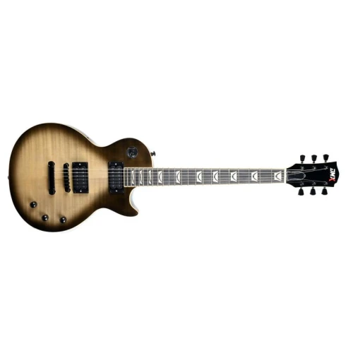 Dmx Guitars DALP200 Antique Silverburst Les Paul Standart Elektro Gitar (Taşıma Çantası Hediyeli) 5
