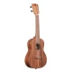Kala Teak Concert Ukulele 2