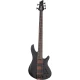 Schecter Charles Berthoud CB Series 5 Telli Bas Gitar (See Thru Black Satin) 1