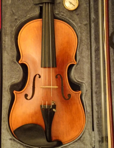 Stentor Arcadia 4/4 Profesyonel Keman 2