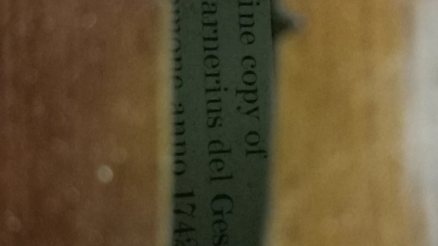 El Yapımı 20 senelik Keman 2