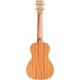 Cordoba 15CM Matiz Concert Ukulele (Classic Blue) 2