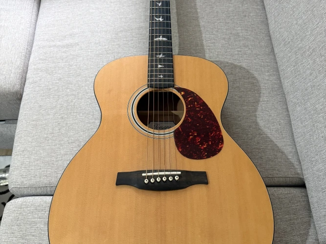 PRS SE TONARE TX20E 3