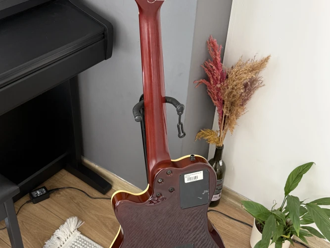 Godin Acs rosewood 6