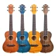 Kaysen U3-24N Concert Ukulele 3