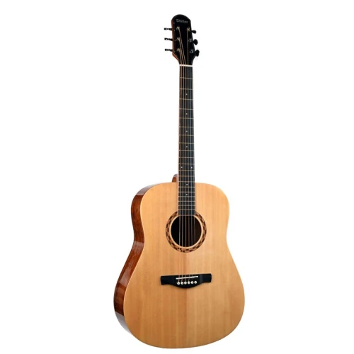 Stiller SD-1 Akustik Gitar (TaşımaÇantası Hediyeli) 4