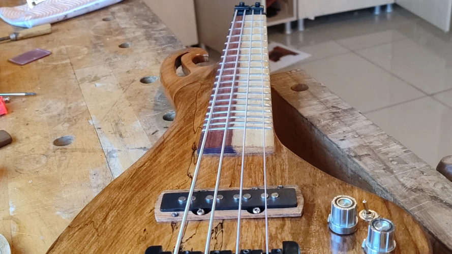 Wing El yapımı tasarım gitar 1