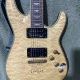 Schecter Omen 1