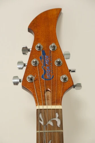 ÖZEL YAPIM (CUSTOM BUILD) T-Style Gitar 4