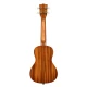 Kala Elvis Blue Hawaii Concert Ukulele Eğitim Seti 4
