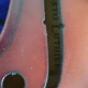 Presto luthier VV100 4 /4 Keman 5