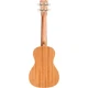 Cordoba 15CM Matiz Concert Ukulele ( Mango) 2