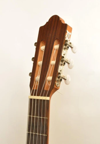 CAMPS NAC1 ECO ELEKTRO KLASİK GİTAR FISHMAN CLASSIC III 5