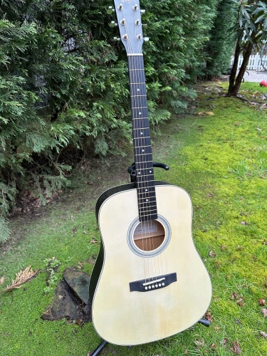 SX SD204 Trans Black Akustik Gitar 1
