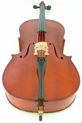 Almira CNPG-01 1/4 Çello 2
