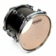 Evans TT10G12 - 10 inch Tom Derisi 1