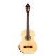 Ortega R55DLX Student Series Pro Klasik Gitar (Natural) 1