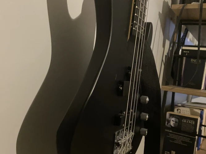 ESP LTD B10 Bass Gitar 7