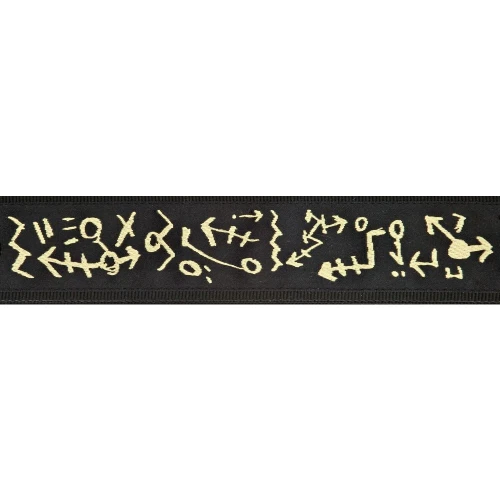 PLANETWAVES 50PM01 GİTAR ASKISI, DOKUMA, PAT METHENY TRAVELS 2