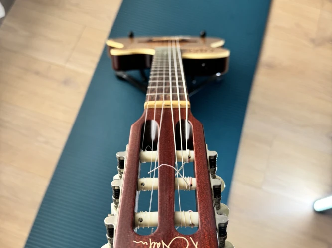 acil satılık FİYAT DÜŞMÜŞTÜR !!! - godin encore 3