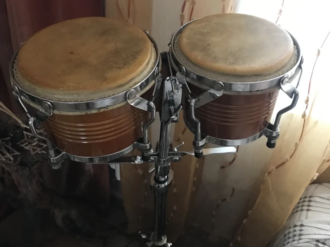 Takım Halinde Bongo 2