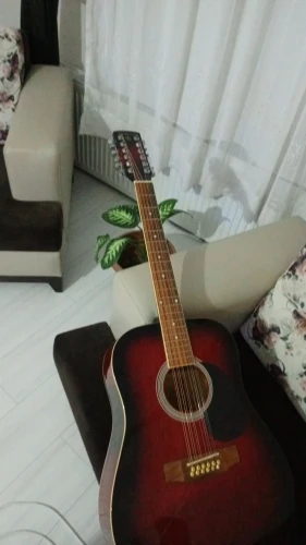 12 telli akustik gitar 1