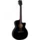 ESP LTD A-300E Siyah Elektro Akustik Gitar 1