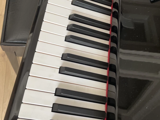 Steigerman Piyano 6