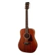 IBANEZ AW54-OPN Artwood Serisi Solid Top Dreadnought Akustik Gitar 1