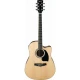 Ibanez PF15ECE-NT Elektro Akustik Gitar 1