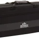 Roy Benson TR-202G Bb Trompet 2