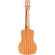 Cordoba 15CM Matiz Concert Ukulele (Chili Red) 2