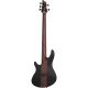 Schecter Charles Berthoud CB Series 5 Telli Bas Gitar (See Thru Black Satin) 10
