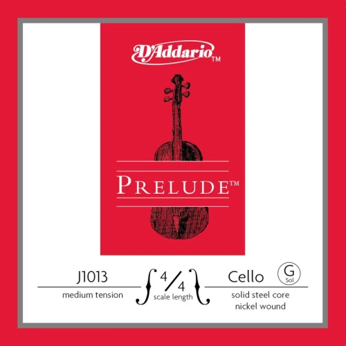 DADDARIO J1013 4/4M 1