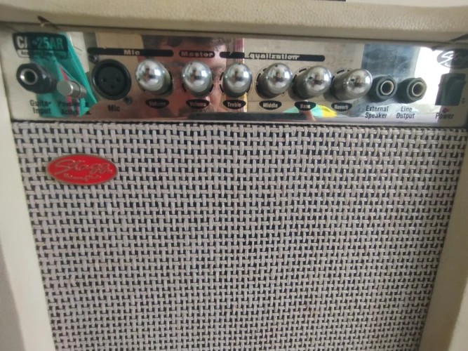 Masterwork MWA4000CE Elektro akustik gitar ve amfi 5