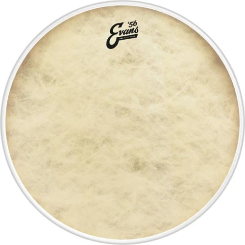 EVANS BD20GB4CT 20" DERİ CALFTONE KİCK VE RESONANT SENTETİK RİNGLİ TEK KAT 6