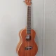 Simge Ukulele 2