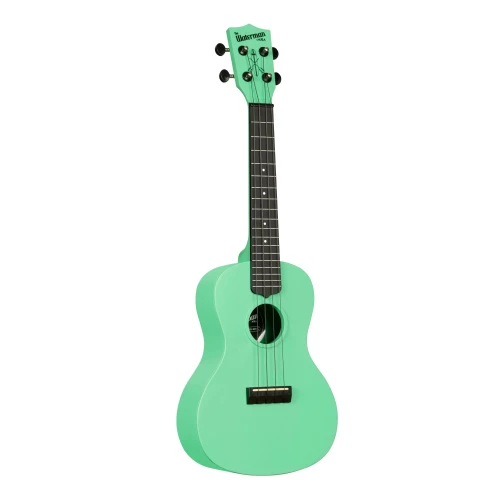 Kala Waterman Recycled Concert Ukulele (Sea Foam Green) 4