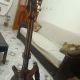 Cort B5 korea Kore 4
