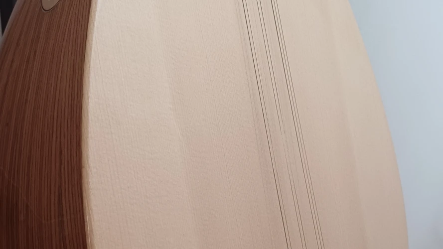 KISA SAP PROFESYONEL BAĞLAMA 2