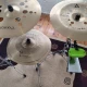 Tama Bateri Donanım - Pedal + Stand + Zil + Perküsyon + Trampet 7